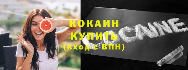 твердый Абаза