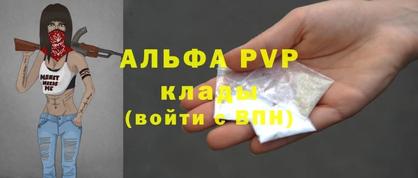 твердый Абаза