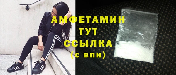 твердый Абаза