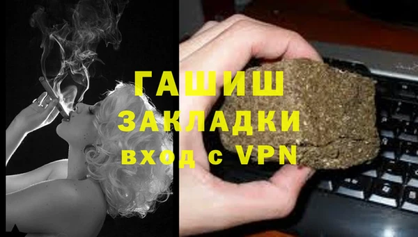 твердый Абаза
