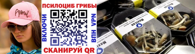закладки  Сальск  Галлюциногенные грибы GOLDEN TEACHER 