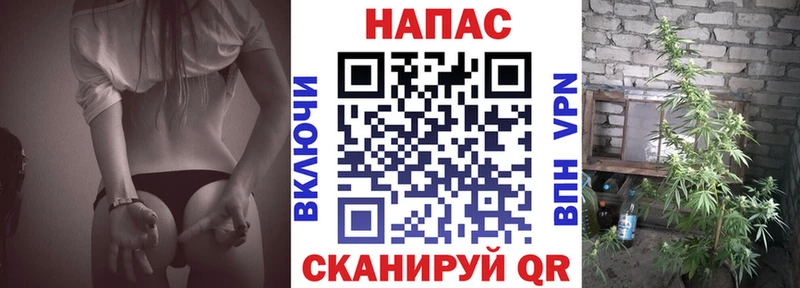 мега зеркало  Сальск  Бошки марихуана Bruce Banner 